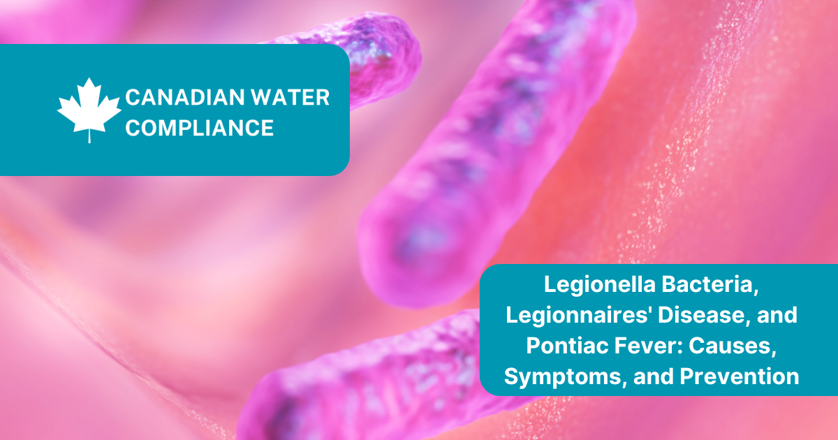 Legionella Bacteria, Legionnaires' Disease, and Pontiac Fever: Causes, Symptoms, and Prevention