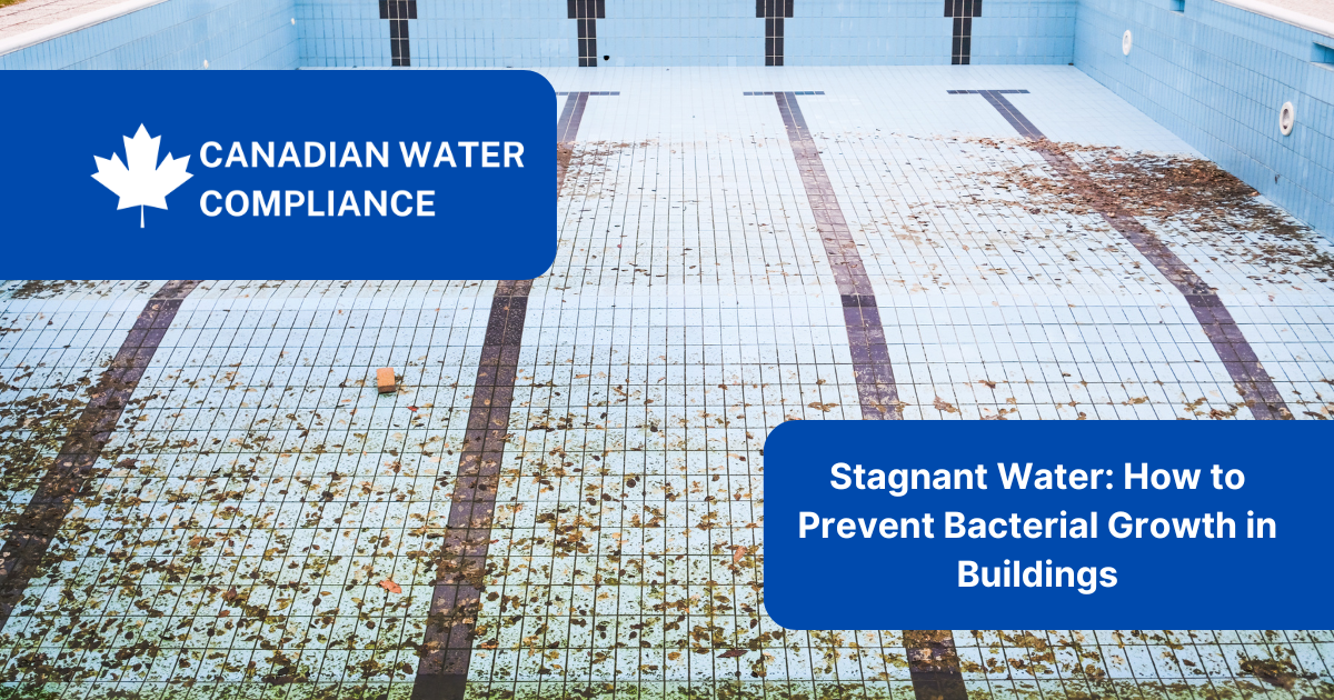 Stagnant Water & Legionella: How to Prevent Bacterial Growth in Buildings