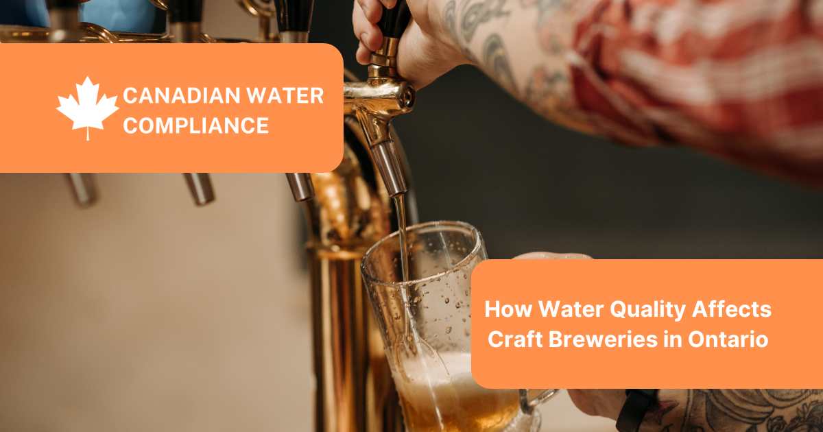 How Water Quality Affects Craft Breweries in Ontario