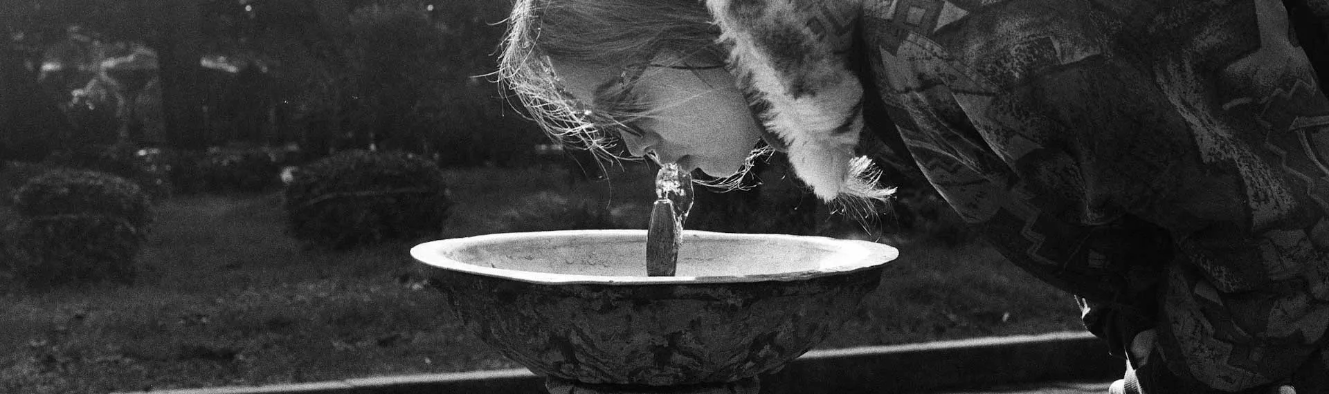 School Drinking Water Testing