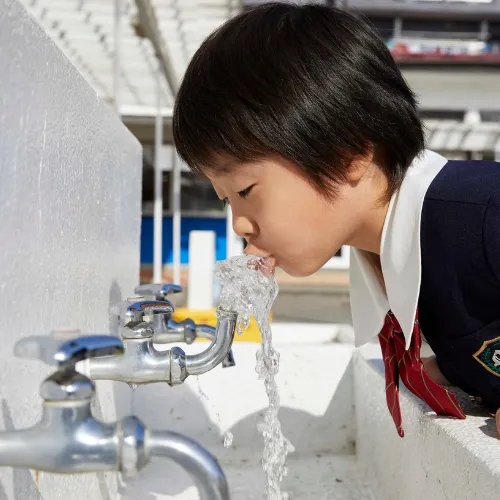 Hassle-Free Testing, Reporting & Follow-Up