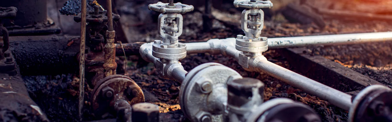 Metals in Water Testing