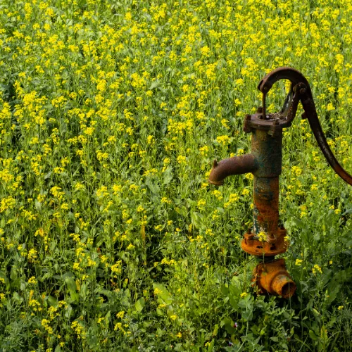 Why Well Water Needs to Be Tested Regularly