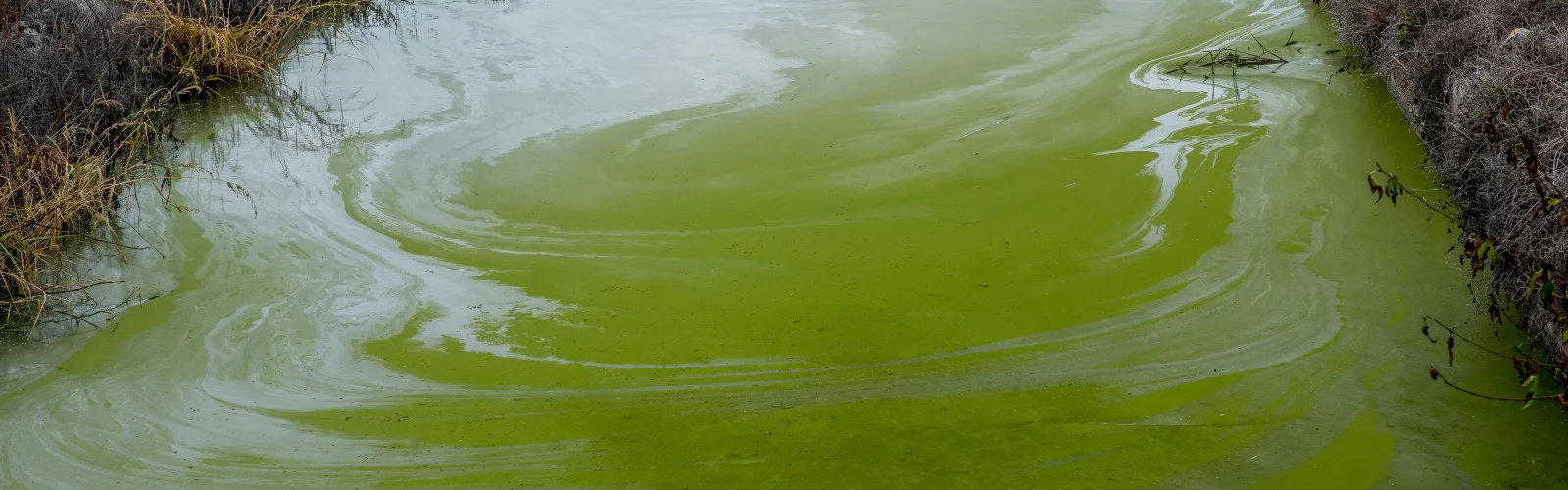 Combined Sewage Water Testing