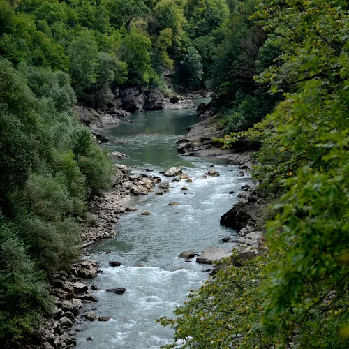 Monitor Lakes, Rivers, and Streams for Compliance & Conservation