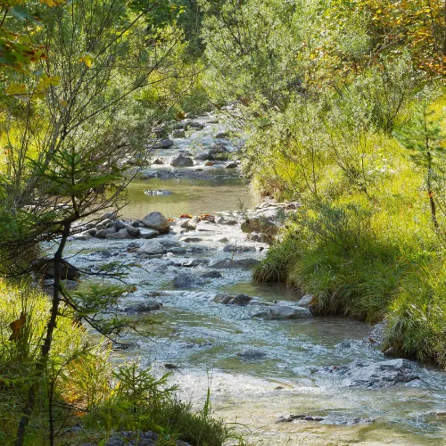 Stay Ahead of Liability and Protect Public & Environmental Health